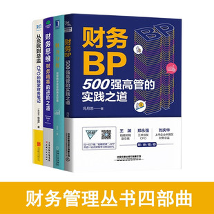 财务分析+ 财务思维+从总账到总监财务BP 500强高管的实践之道 财务精英的进阶之道 挖掘数字背后的商业价值