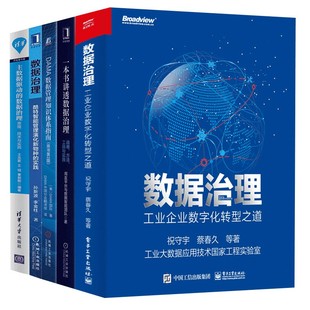 数据治理(5册)DAMA数据管理知识体系指南 主数据驱动 一本书讲透数据治理 工业企业数字化