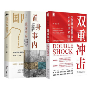 国内大循环 世界经济 双重冲击 兰小欢 大国博弈 未来与未来 中国政府与经济发展 置身事内 中国经济发展新格局
