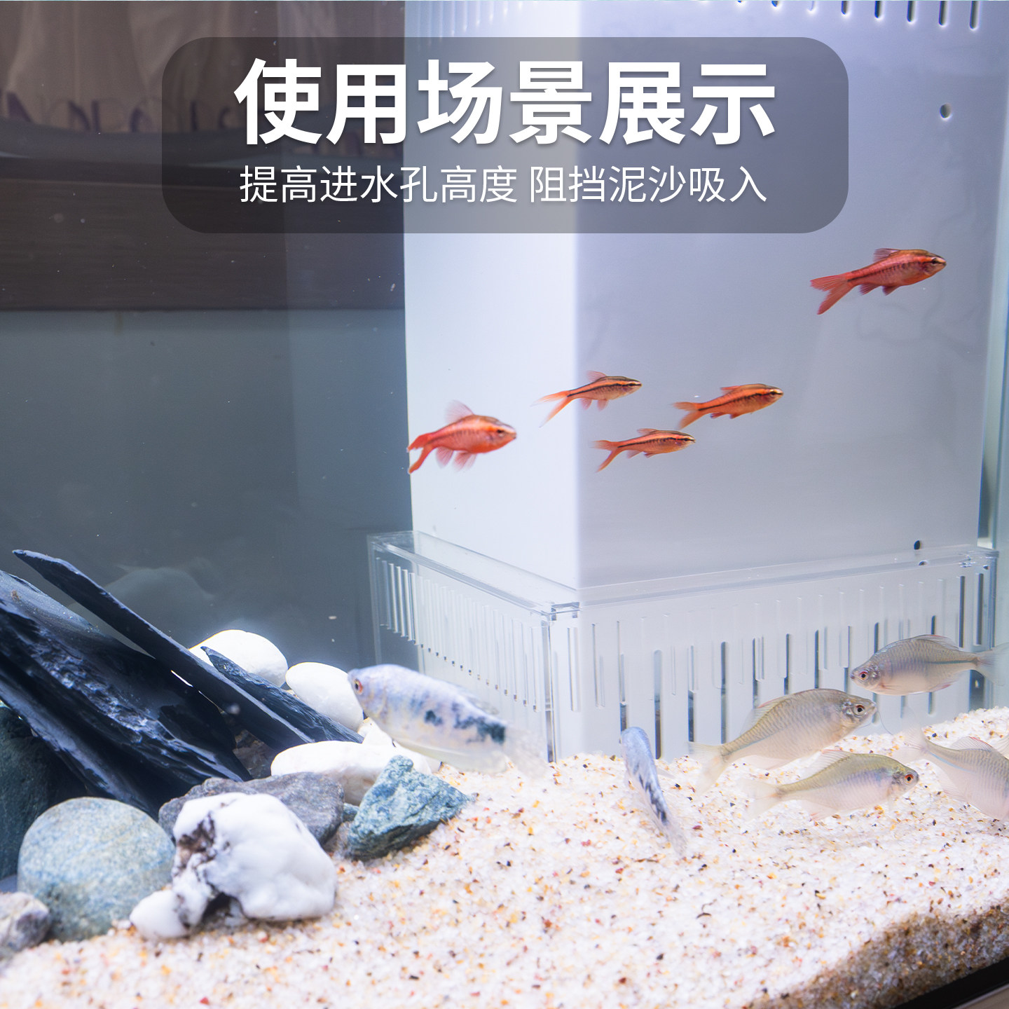 亚克力直角挡沙板防吸鱼底滤挡板鱼缸测滤溢流板透明溢流区保护罩