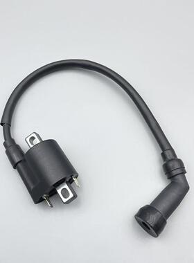 适用龙嘉LJ300 VMAXie300维多利亚150XDV250si高压包点火高压帽