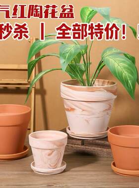 特价陶土花盆国际盆大口径兰花盆多肉盆透气红陶盆客厅高颜值花盆