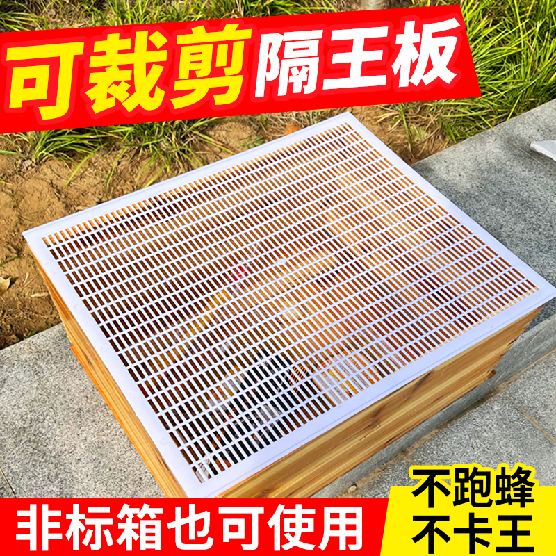 可剪裁塑料平面隔王板中蜂意蜂隔王板隔皇器标准蜜蜂箱用养蜂工具