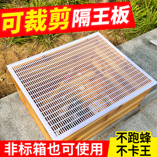 可剪裁塑料平面隔王板中蜂意蜂隔王板隔皇器标准蜜蜂箱用养蜂工具