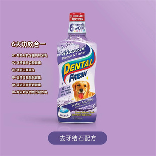 美国原装进口DENTAL FRESH清新乐犬猫通用去牙结石配方洁齿水包邮