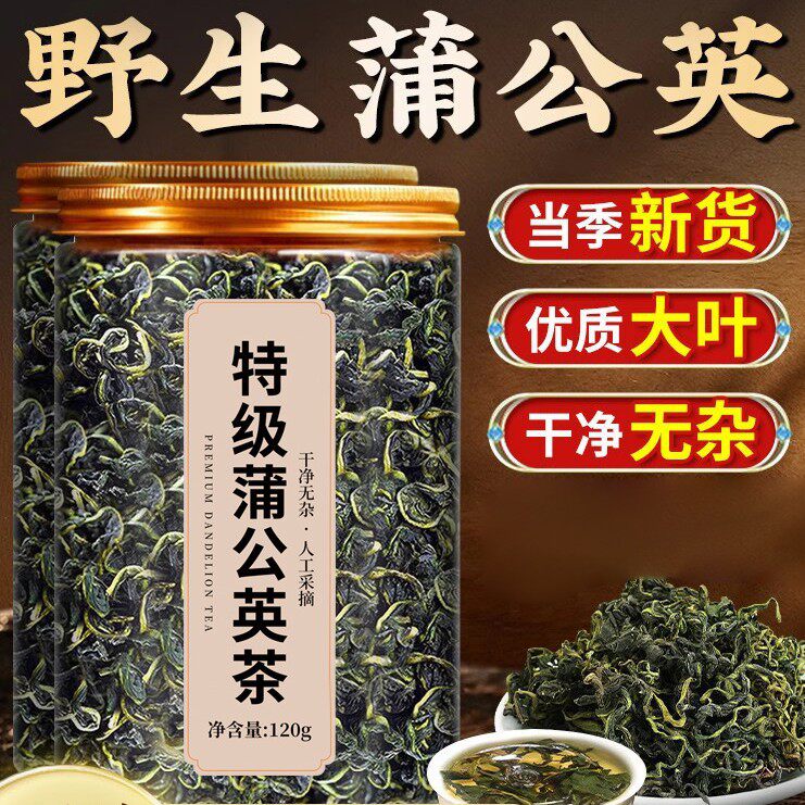 正品蒲公英茶新鲜特级野生蒲公英泡水喝中药材当季新货蒲公英茶叶