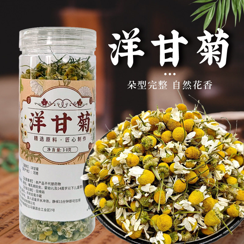 洋甘菊茶正宗河南洋甘菊干花苞头茬新花泡水喝菊花茶无糖低脂花茶