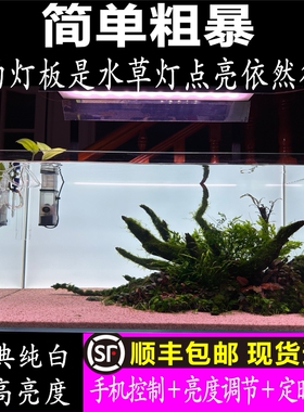 工厂店新款ADA风格正白光鱼缸背景灯板定制纯白光鱼缸背景发光灯