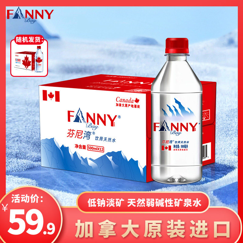 芬尼湾(FANNYBAY)加拿大进口天然饮用水500ML*12瓶饮用水弱碱