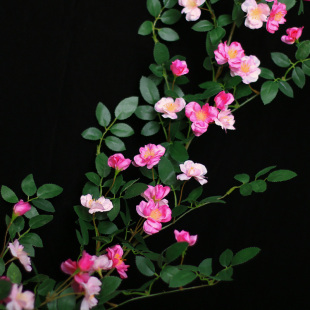 饰花藤缠绕墙面塑料花遮挡 仿真玫瑰花藤蔷薇藤蔓假花藤条空调管装