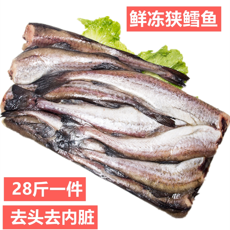 新鲜冷冻狭鳕鱼28斤明太鱼冷冻水产海鲜酒店食海鱼大棒鱼柴鱼包邮