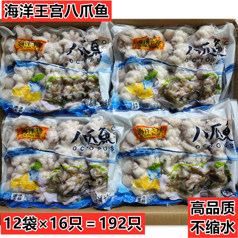 小章鱼火锅食材八爪鱼冷冻海鲜