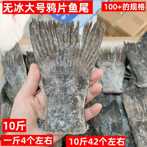 无冰大号鸦片鱼尾10斤新鲜冷冻火锅烧烤蝶鱼尾比目鱼酒店商用食材