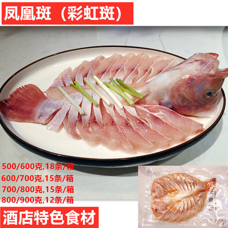 功夫凤凰斑彩虹斑红罗非鱼酒店食材清蒸鱼半成品喜福鱼预制菜宴席