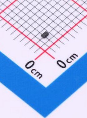 10只 GBLC03CP 静电和浪涌保护(TVS/ESD) GBLC03CP DFN1006-2