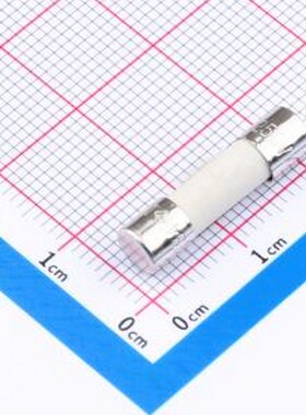 0234010.MXP 一次性保险丝 250V