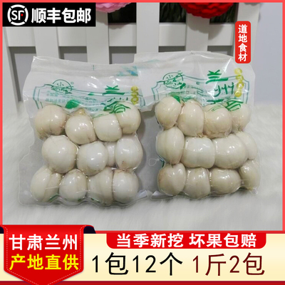 兰州百合新鲜甜百合当季新挖二十四头食用甜百合甘肃特产顺丰包邮