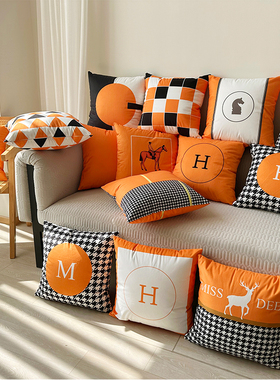 橙色沙发抱枕轻奢高端靠垫床头客厅橘色办公室车用靠背枕套不含芯