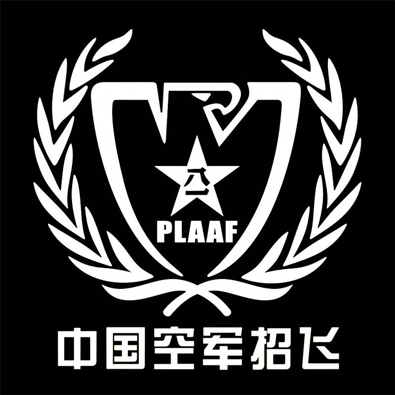 防水反光汽车贴纸拉花五角星八一军人航空飞行员a178中国空军招飞