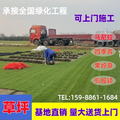 草皮真草坪带泥土别墅花园四季