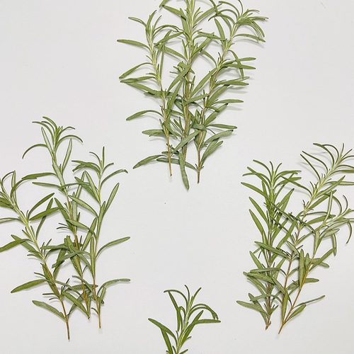 花伴礼INS风森系干花压花