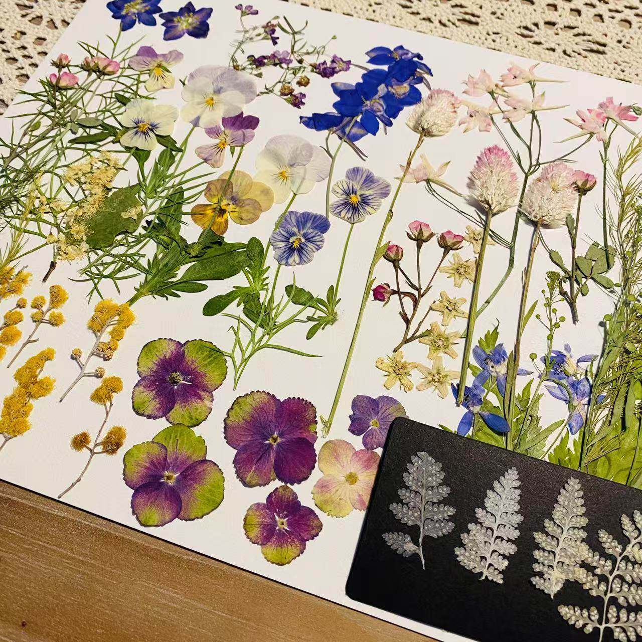 《五色花笺》押花材料包干花押花INS风森系压花伴礼书签材料diy
