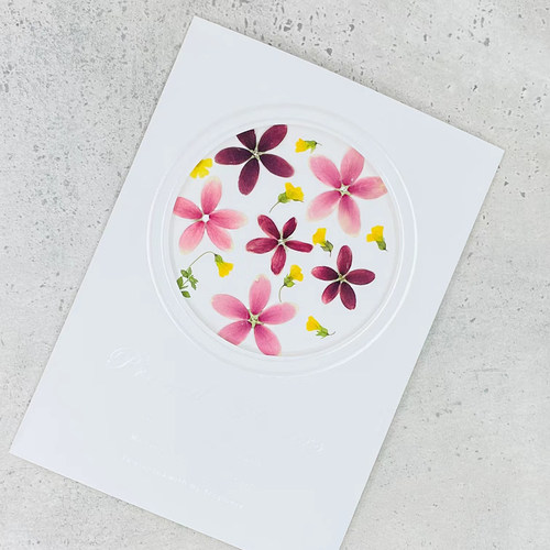 押花团扇材料包使君子台灯花材