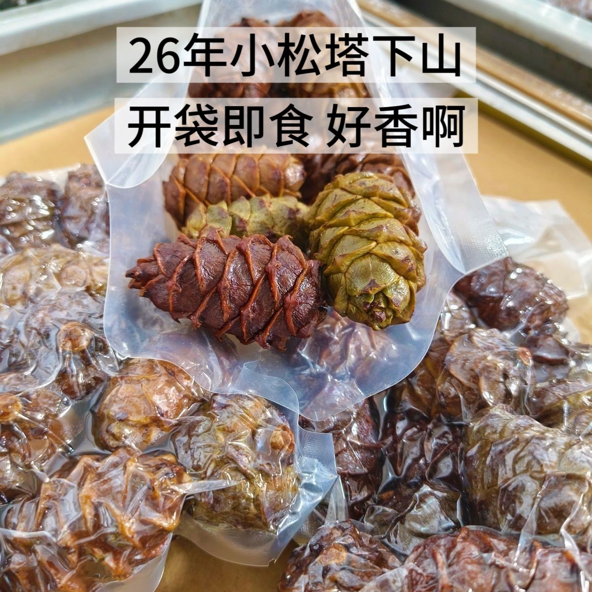 2026新货大兴安岭松树塔盐水煮松塔马尾松塔偃松塔咸味500g包邮