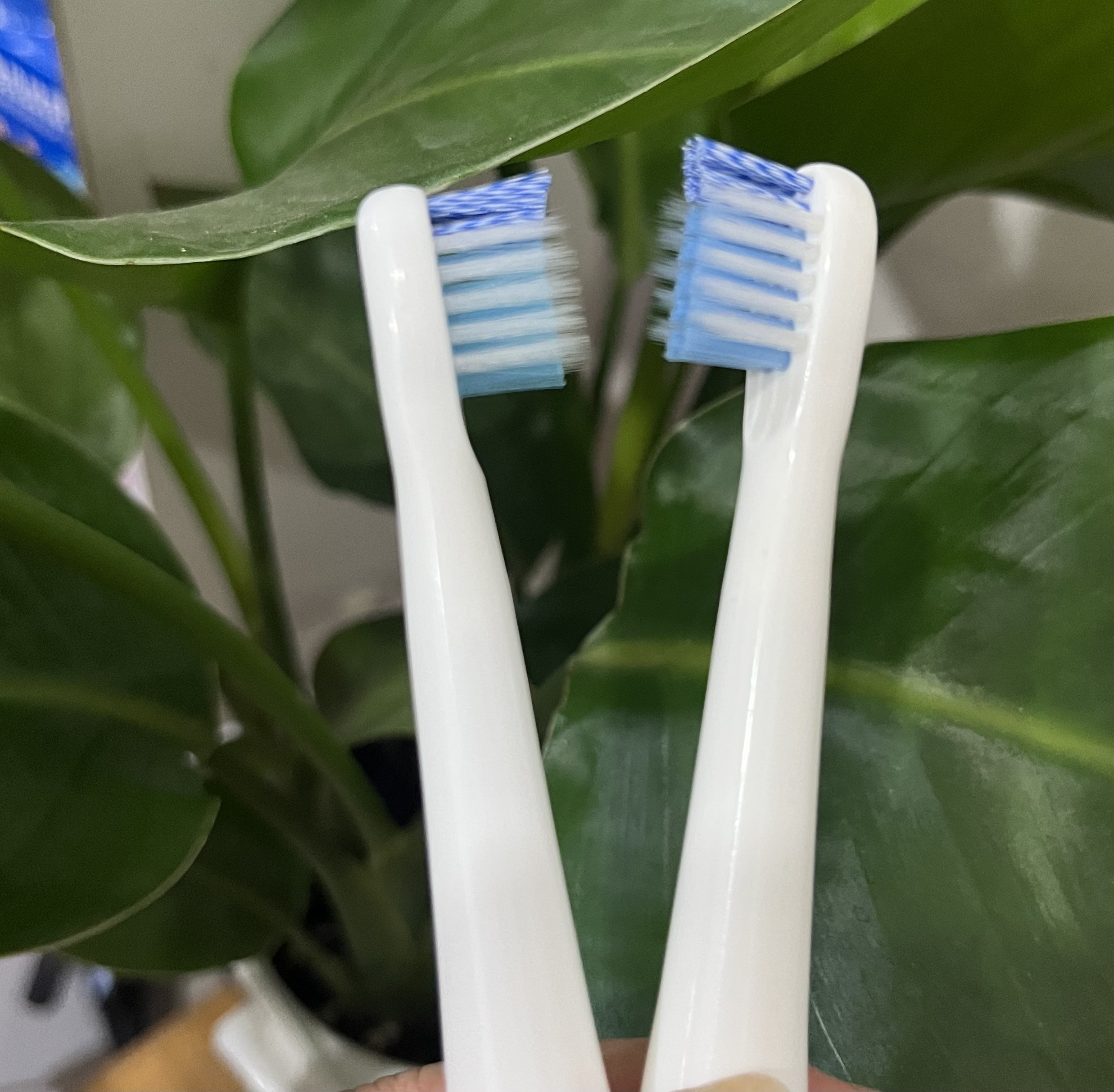 电动牙刷替换刷头适配高露洁电动牙刷/口腔清洁工具