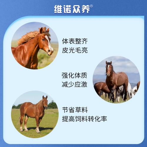 Скачки с высоким содержанием многомерного мульти -витаминного питания добавки для содействия длинным ногам и пухло