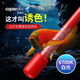 光特亿鱼缸灯金红龙鱼发色灯管NEC增艳烤色防水6700K白光
