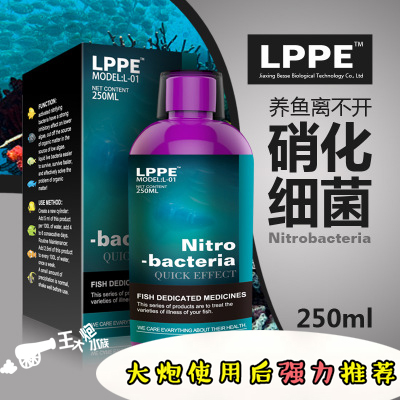 硝化细菌硝化菌消化细菌鱼缸净水剂养鱼用品鱼药水族水质稳定剂