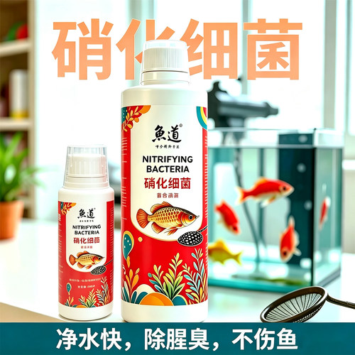 鱼道硝化细菌分解鱼便净化水质