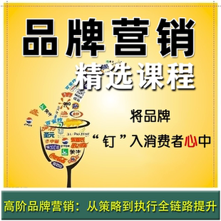 企业市场营销品牌建设品牌营销策划品牌管理培训讲座视频教程