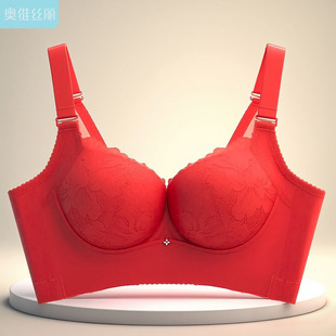 奥维丝丽2025年新款内衣女小胸聚拢上托厚款调整型软钢圈蕾丝文胸
