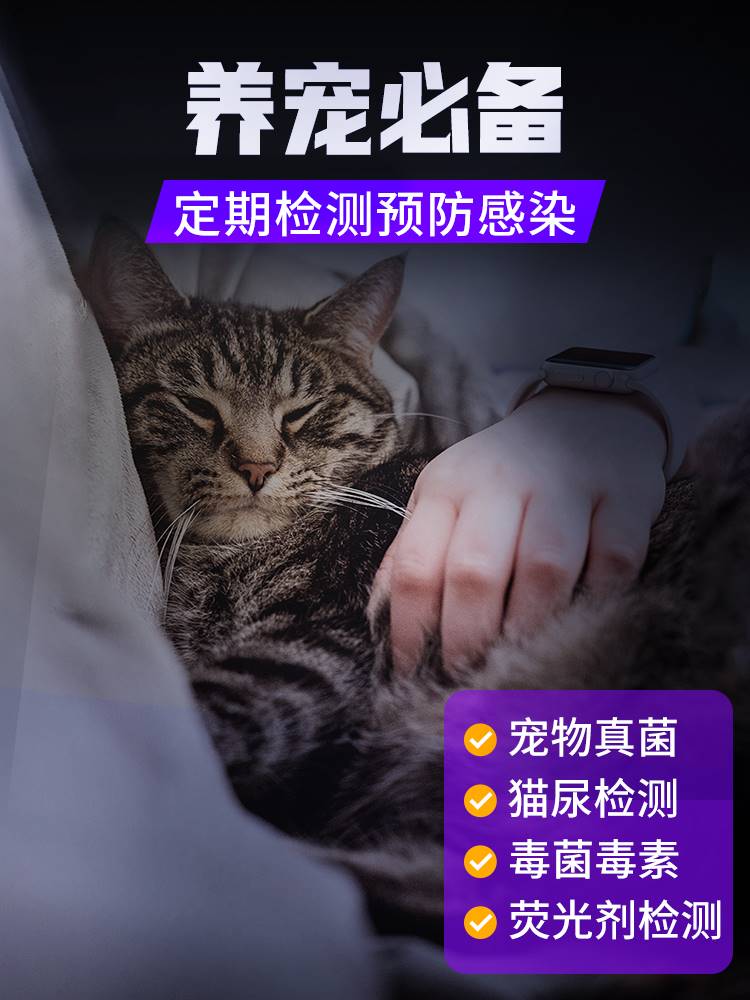 新品伍德氏猫藓灯365nm紫光手电筒逗猫照猫尿家用猫癣灯荧光剂验