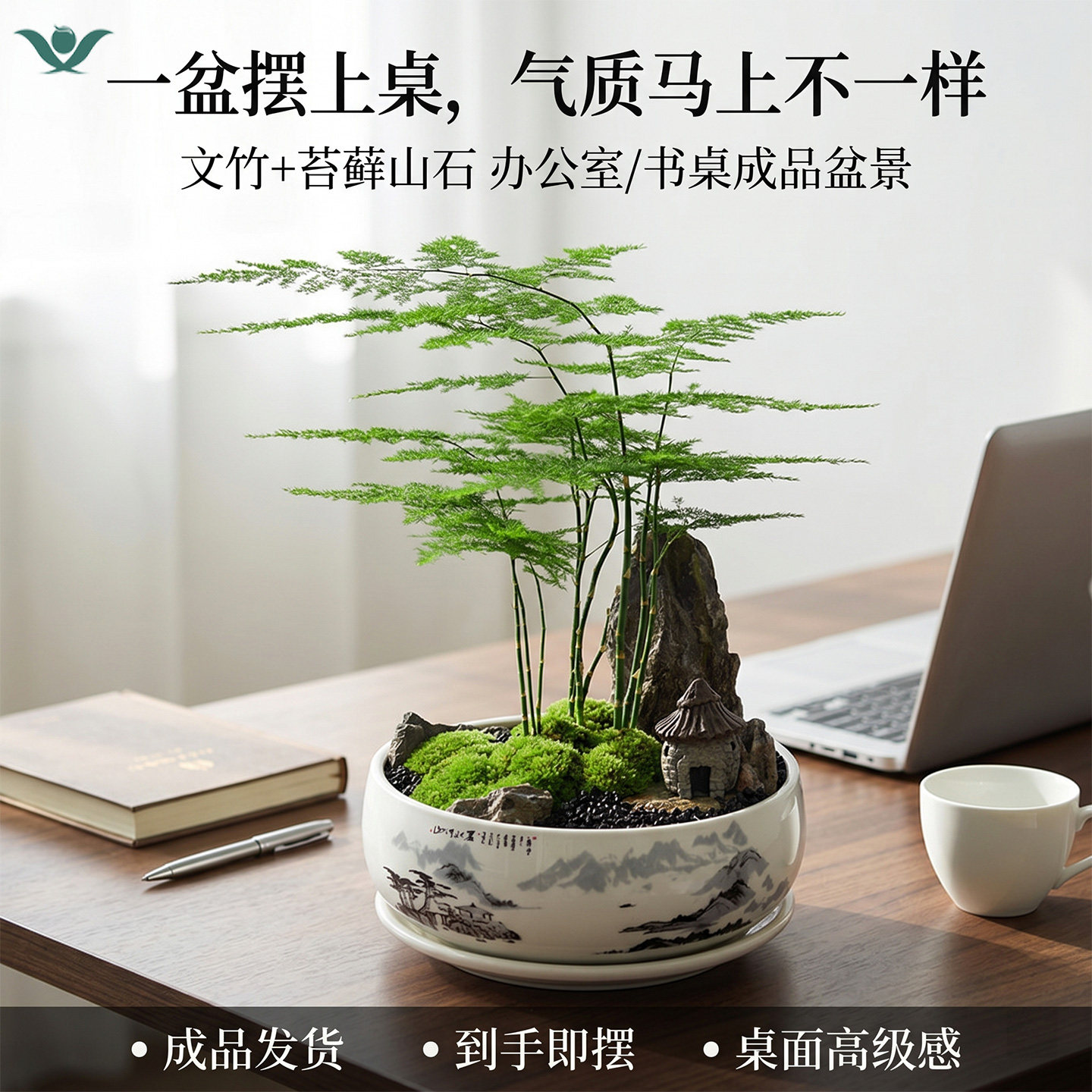 文竹盆栽苔藓山石微景观书桌小众雅致盆景办公室桌面治愈绿植摆件