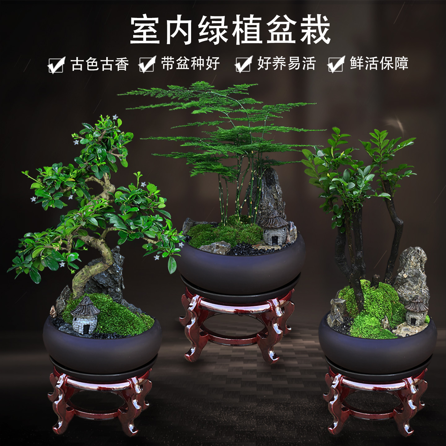 办公室桌面盆栽防辐射禅意绿植