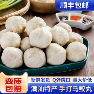 潮汕正宗特产马鲛鱼丸海丰手打白鱼丸纯手工新鲜制作肉丸水丸