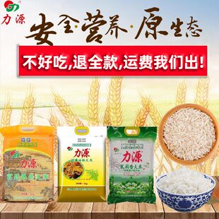 大米2024年新米猫牙米广西丝苗米茉莉香米长粒油粘米煲仔饭专用米