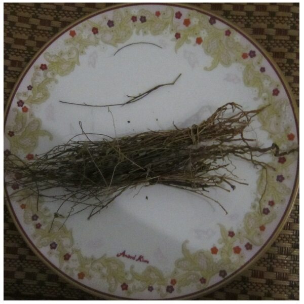 高烧不退中草药对感冒发热发烧有良效野外野生草药材退烧药用植物