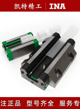 德国INA滚柱线轨滑块导轨RWU65FL RUE35EL 45F 25EH 55EHL-G21-V3