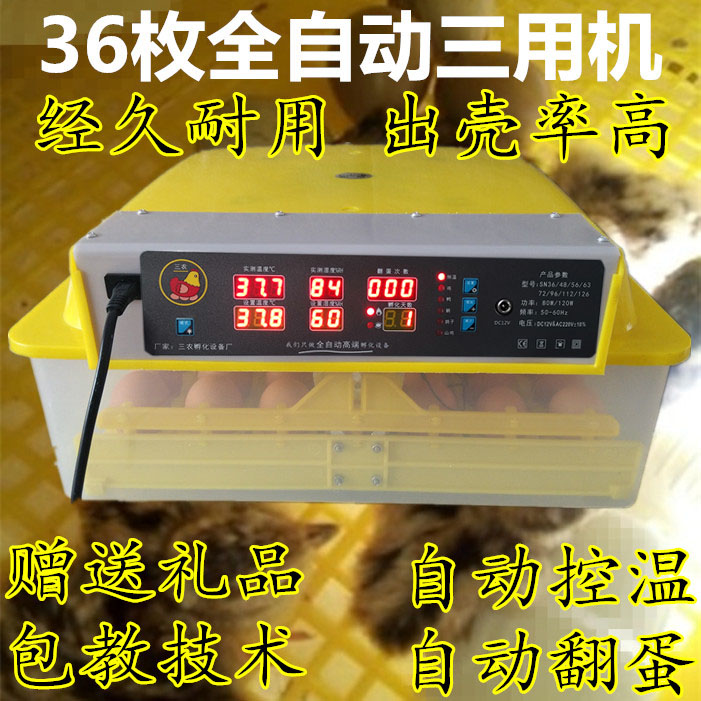 全自动孵化器孔雀卵化箱多功能
