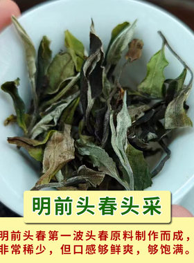 2024年明前云南倚邦古树白茶牡丹新茶茶叶普洱茶散茶中秋礼盒装