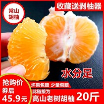 常山胡柚高山种植新款20斤装新鲜水果正宗柚子西柚非红心剥柚神器