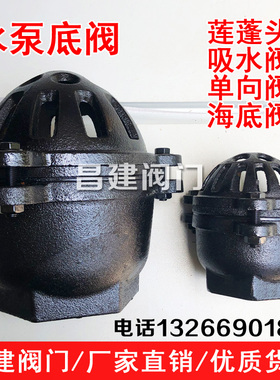 丝扣水泵底阀止回阀莲蓬头吸水阀铸铁单向阀DN25 40 50 65 80 100