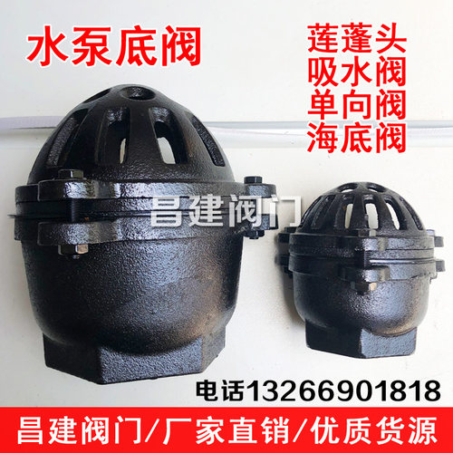 丝扣水泵底阀止回阀莲蓬头吸水阀铸铁单向阀DN25 40 50 65 80 100