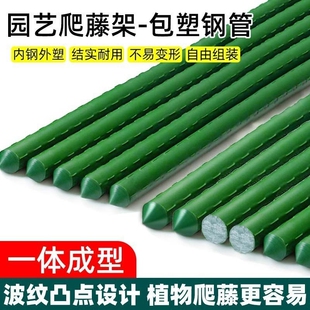 庭院阳台蔬菜瓜果爬藤架葡萄月季豆角黄瓜绿植攀爬杆花园植物支撑
