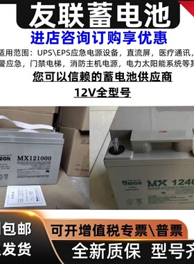 UNION友联蓄电池VTMX1240017A24A33A38A40A100A120A150AUPS直流屏