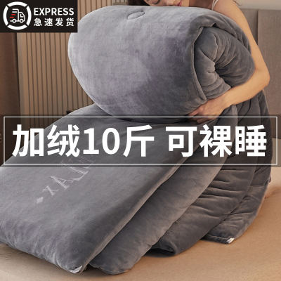 【A类抗菌】牛奶绒冬季棉被10斤